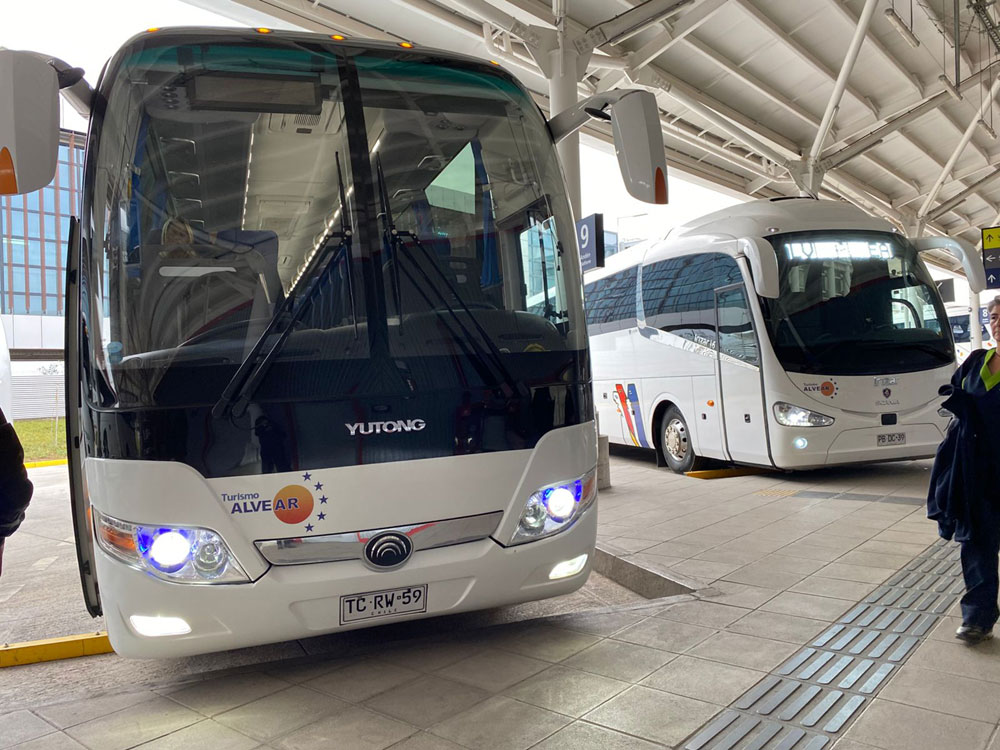flota-buses-2